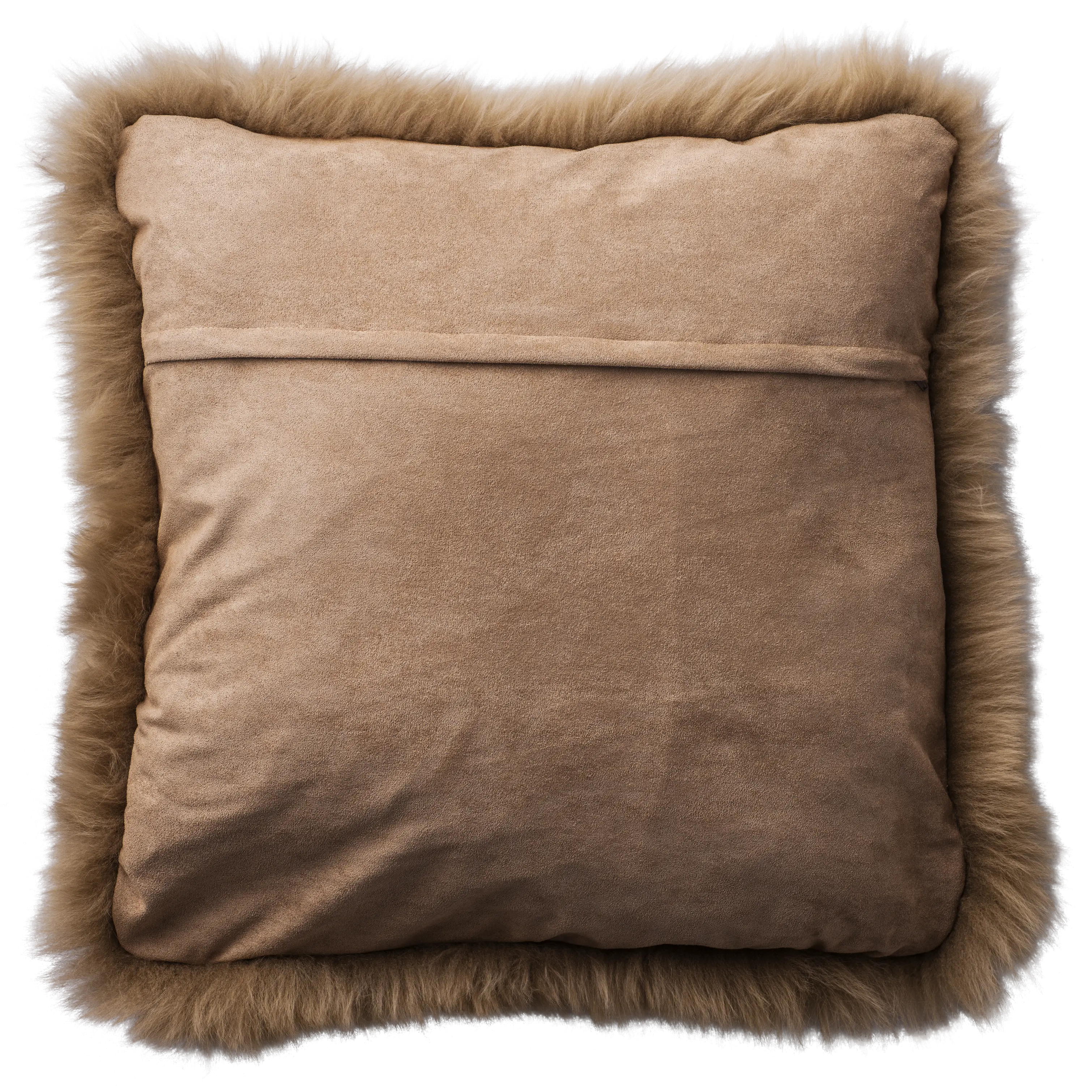 2905319_PNG-Web 72dpi.png?